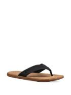 Ugg Seaside Flip Sandals