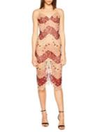 Bardot Two-tone Lace Dress