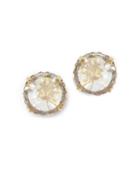 Vince Camuto Crystal Micro Pave Bezel Setting Stud Earrings