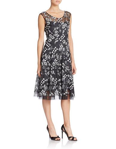 Vera Wang Lace Embroidered Illusion Top Dress
