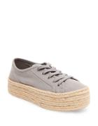 Steve Madden Hampton Lace-up Sneakers