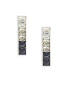 Bcbgeneration Two-toned Crystals And Rectangular Earrings