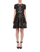 Alexia Admor Lace Fit-and-flare Dress