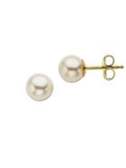 Lord & Taylor 14k Yellow Gold Freshwater Pearl Stud Earrings