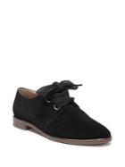 Franco Sarto Henry Suede Lace-up Oxfords