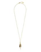 Vince Camuto Amazonian Pearl Pendant Necklace