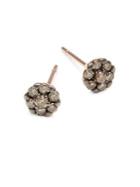 Lord & Taylor 14k Rose Gold And Brown Diamond Stud Earrings