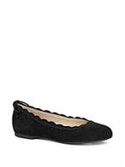 Jack Rogers Lucie Ii Scalloped Suede Ballet Flats