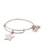 Alex And Ani Shine Bright Charm Bracelet