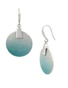 Lord Taylor Fade Away Crystal Ombre Drop Earrings