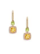 Nadri Tropics Framed Swarovski Crystal Drop Earrings