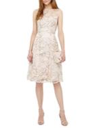 Phase Eight Embellished Floral Mesh Fit-&-flare Dress