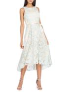 Tahari Arthur S. Levine Embroidered Floral Ribbon Dress