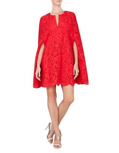Bcbgmaxazria Brynna Lace Cape Dress