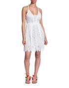 Plenty By Tracy Reese Directional Lace Fit-&-flare Dress