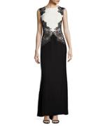 Tadashi Shoji Colorblock Lace Gown