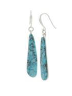 Robert Lee Morris Collection Santa Fe Turquoise And Crystal Stick Drop Earrings