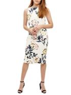 Phase Eight Peony Floral Printed Dress