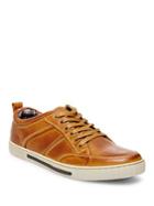 Steve Madden Paneled Leather Sneakers
