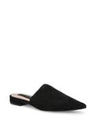 Steven By Steve Madden Lauryn Suede Point-toe Mules