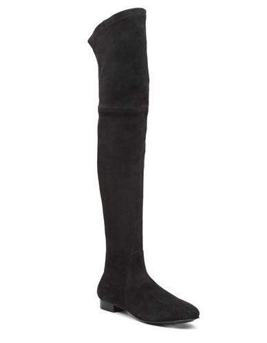 Delman Suede Over-the-knee Boots
