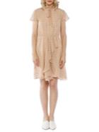 Walter Baker Arthur Swiss Dot Dress