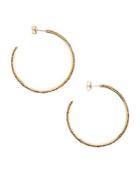 Sole Society Dorado Crystal Hoop Earrings