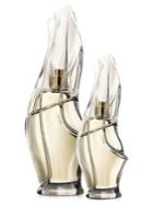Donna Karan Cashmere Mist 2-piece Eau De Parfum Set