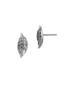 The Sak Leaf Stud Earrings
