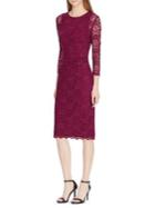 Lauren Ralph Lauren Lace Sheer-sleeve Dress