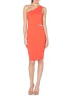 Laundry By Shelli Segal One-shoulder Bodycon Dress