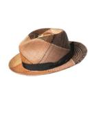 Bailey Hats Giger Straw Panama Hat