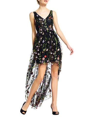 Adrianna Papell Embroidered Floral Hi-lo Dress