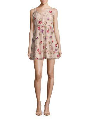 Bb Dakota Embroidered Floral Mesh Dress