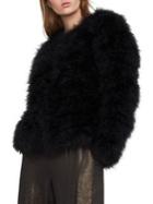 Bcbgmaxazria Zoey Ostrich Feather Jacket
