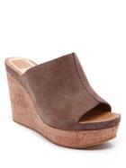 Dolce Vita Ross Suede Platform Wedge Sandals