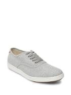 Steve Madden Frias Casual Low-top Sneakers