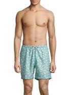 Black Brown Shark-print Swim Trunks