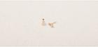 Lou & Grey N+a New York E102 Diamond Earrings