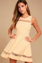 Lulus Sheer Determination Nude Mesh Skater Dress
