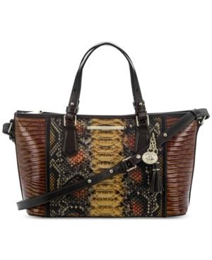 Brahmin Tyndale Mini Asher Satchel
