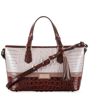 Brahmin Mini Asher Toasted Macaroon Durance Satchel