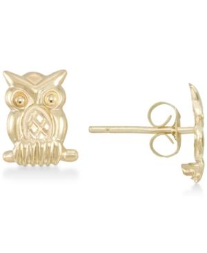 Owl Stud Earrings In 10k Gold