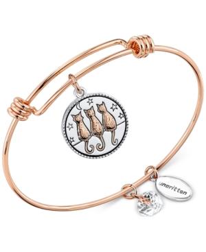 Unwritten Two-tone Time Spent With Cats Adjustable Bangle Bracelet In Stainless Steel & Rose Gold-tone Stainless Steel
