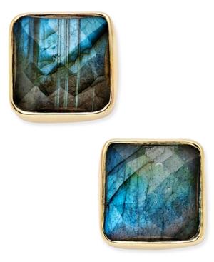 Paul & Pitu Naturally 14k Gold-plated Brass Labradorite Stud Earrings