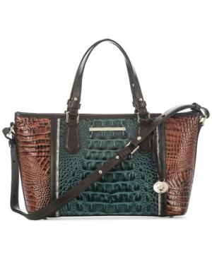 Brahmin Mini Asher Ivy Figaro Small Satchel