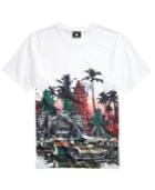 Lrg Men's Angkor Graphic-print T-shirt