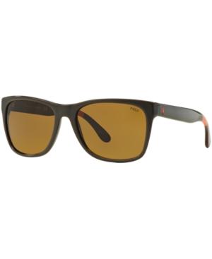 Polo Ralph Lauren Sunglasses, Polo Ralph Lauren Ph4106