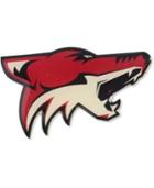 Aminco Phoenix Coyotes Logo Pin