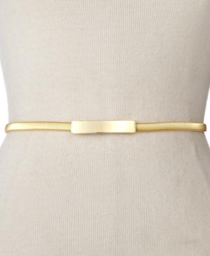 Style & Co Cobra Stretch Chain Belt